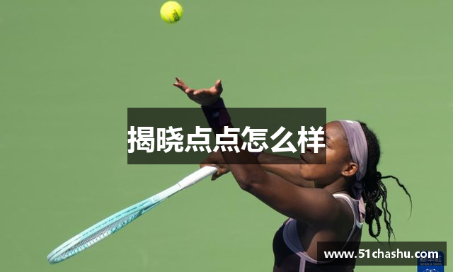 揭晓点点怎么样